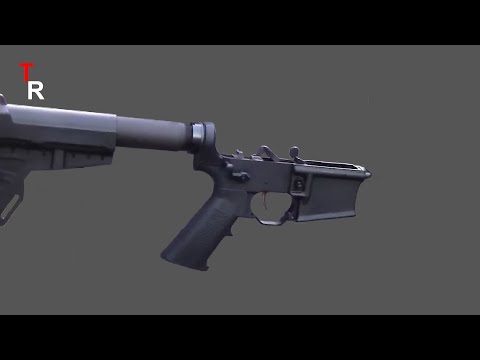 Fostech Sealth Raptor AR15, Is it Worth the price ????