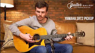 Video thumbnail for Yamaha AC5M ARE SRT2 Pickup Demo by Guitar Gallery