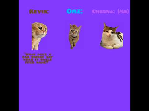 CAT MEMES 🐱 Kevin has a joke with Omz about what car engine says when it calls his name (I laughed!)