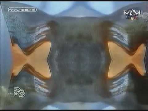 legend b - lost in love ( mcm tv )