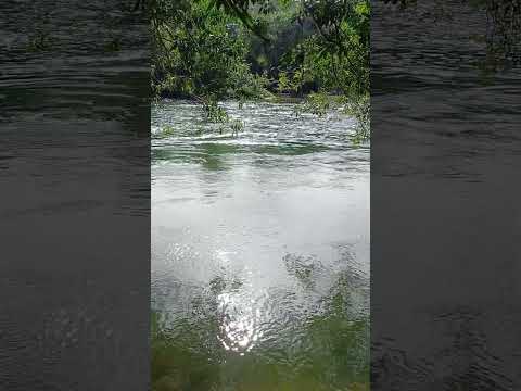 Aguas cristalinas del Río Calovebora #nature #panama #veraguas #santafe