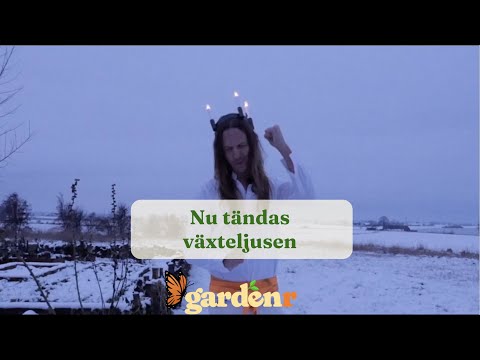 Nu tändas växteljusen - Trädgårdshacks med GardenR