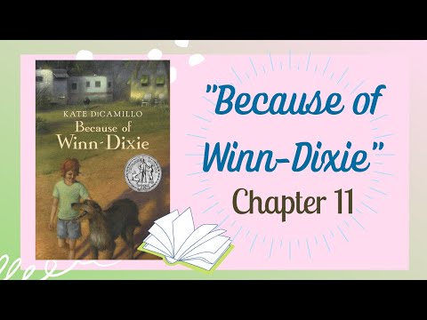 "Because of Winn-Dixie" Chapter 11