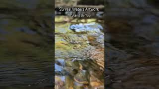 Pretenders - I&#39;ll Stand By You: Surreal Waters Artwork