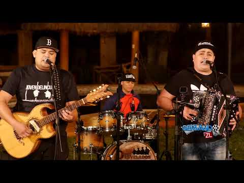 Los Desvelados - Joven Delincuente (En Vivo 2018)