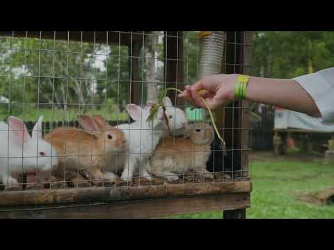 2 DISCOVER at Sumiran Eco Park & Resort