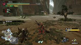 [NoMIC]Steam版MHRise 素材あつめなど