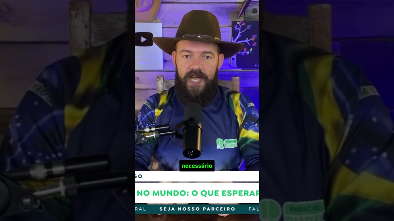 Trigo dispara no mundo: O que esperar dos preços no Brasil?