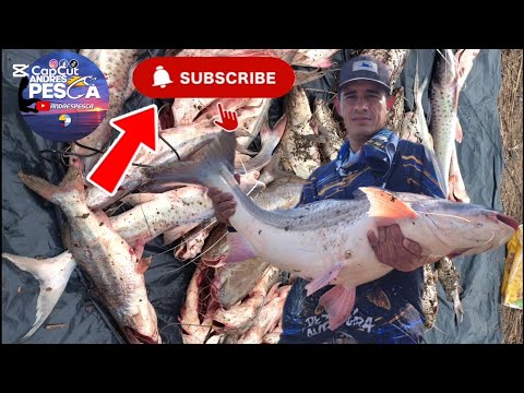 LUGAR EL PUNTAZO PESQUERO DE GOMITAR PESCA FIGHIERA SANTA FE (PESCA🐟🐟🐟 🎣COCINA🔥🫕🧉#pes #peces #viral 