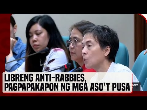 Libreng anti-rabies vaccine, pagpapakapon ng mga aso at pusa, isinusulong sa Animal Welfare Act