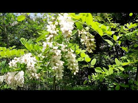 BAGREM 2020 I STANJE NA TERENU