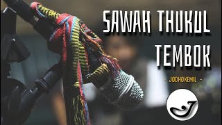Download lagu JODHOKEMIL | Sawah Thukul Tembok (live performance) mp3