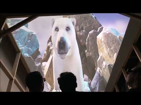 Hologram Zoo
