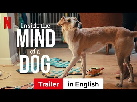 Inside the Mind of a Dog (Trailer) | Trailer in English | Netflix