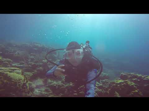 Bonaire Karpata Fooling Around