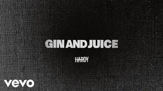 Musik-Video-Miniaturansicht zu Gin & Juice Songtext von HARDY