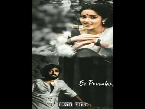 నువ్వక్కడ నేనిక్కడ ..Old love songs #sontyedits