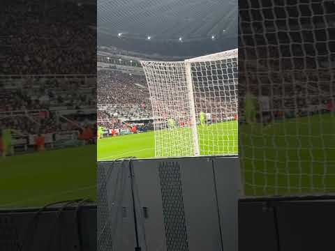 Newcastle v Fulham. Caribou. Elanga