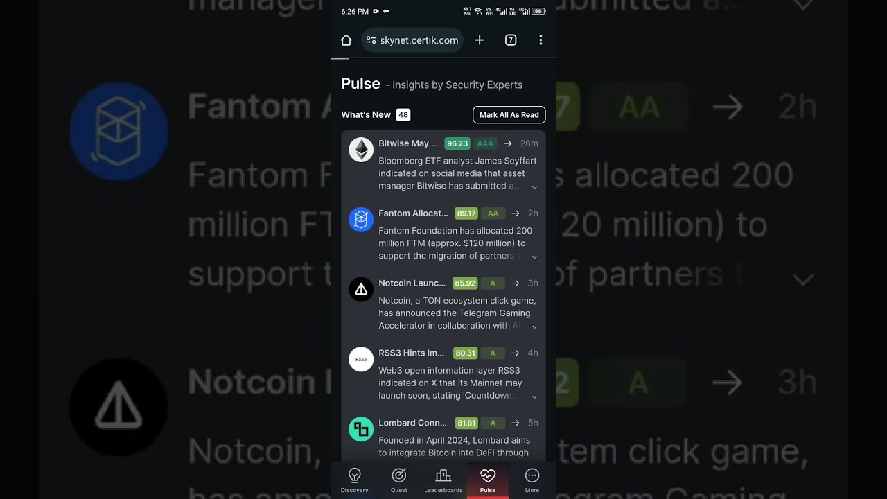 How to complete Insight Task in Skynet Certik