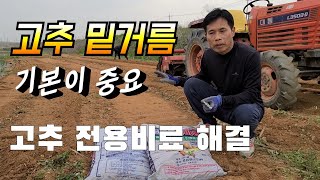 고추재배 기본 밑거름  농사는 투기다