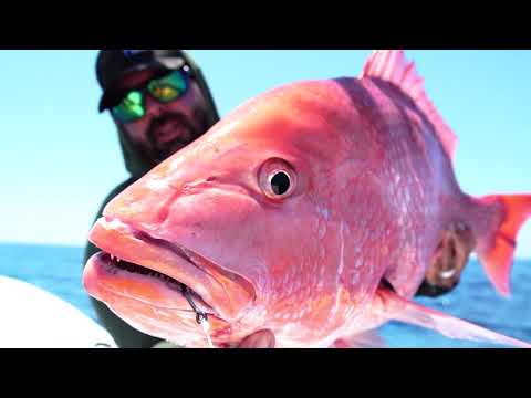 "Fish of a Lifetime" | The Captain's Log