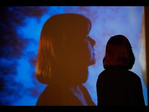 Tiny Ruins - How Much - (Official Video)