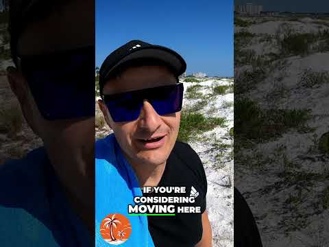 Living in Sarasota, Florida: 5 Warning Signs You Need to Know