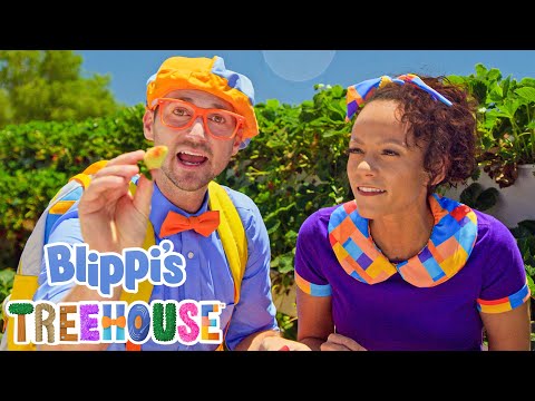 Blippi Treehouse - Blippi Visits Tanaka Farm! | Educational Videos for Kids | Blippi Toys