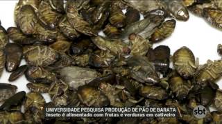 Miniatura do vídeo