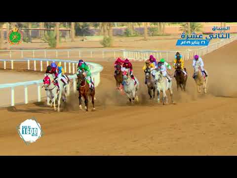الشوط السابع - السباق الثاني عشر- الرحبة 26/01/2019 Race 7-12th meeting