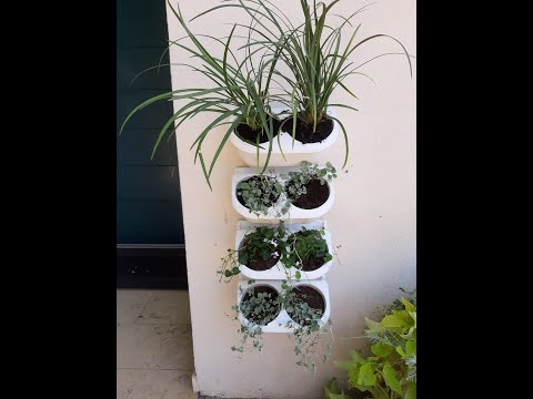 תמונה של קיר ירוק