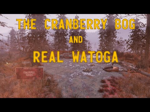 Fallout 76 Lore - Watoga, the Environment and the History