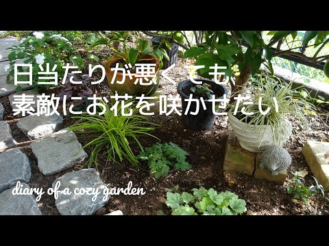 日陰を好む植物：庭を素敵にするトップ5！  庭園