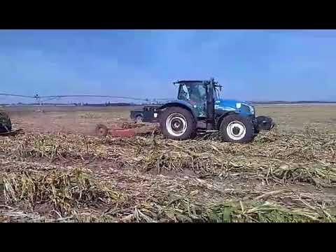 EREDETI RZ-3H/AC szárzúzók egyedi 3-as biztosítással Axiál raktárról