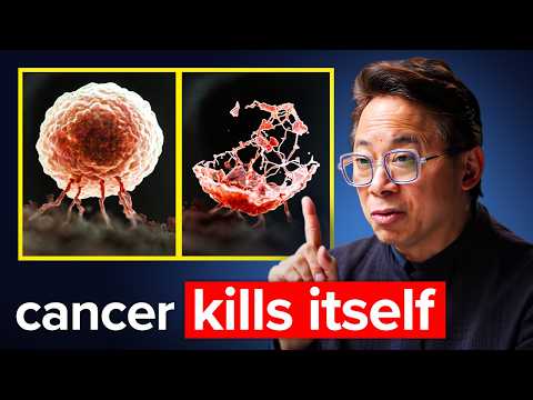 99 % der Krebszellen sterben von selbst durch dieses Bakterium | Dr. William Li