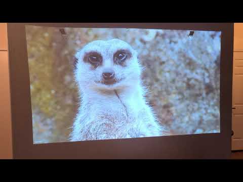 painted my wall Dark gray. Silver metallic and polyurethane. DIY paint mix 😱