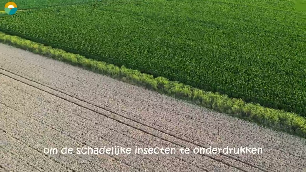Drone footage FAB Pajottenland (BE)