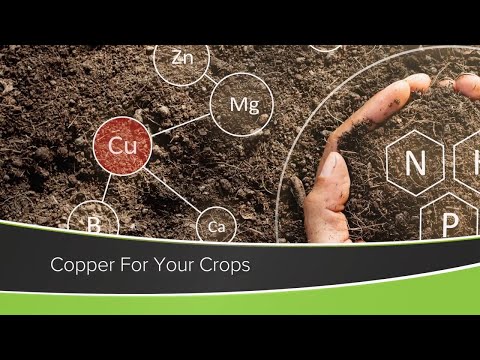 Copper For Your Crops (From Ag PhD Show #1182 - Air Date 11-29-20)