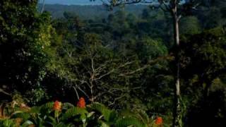 preview picture of video 'Rambala Bocas Del Toro Panama Eco Park and Farm'
