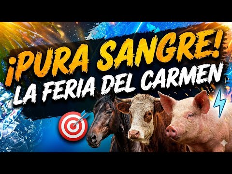 ​¡Pura Sangre! La Gran Feria del Carmen Manabi🐮🐎🐴🐷