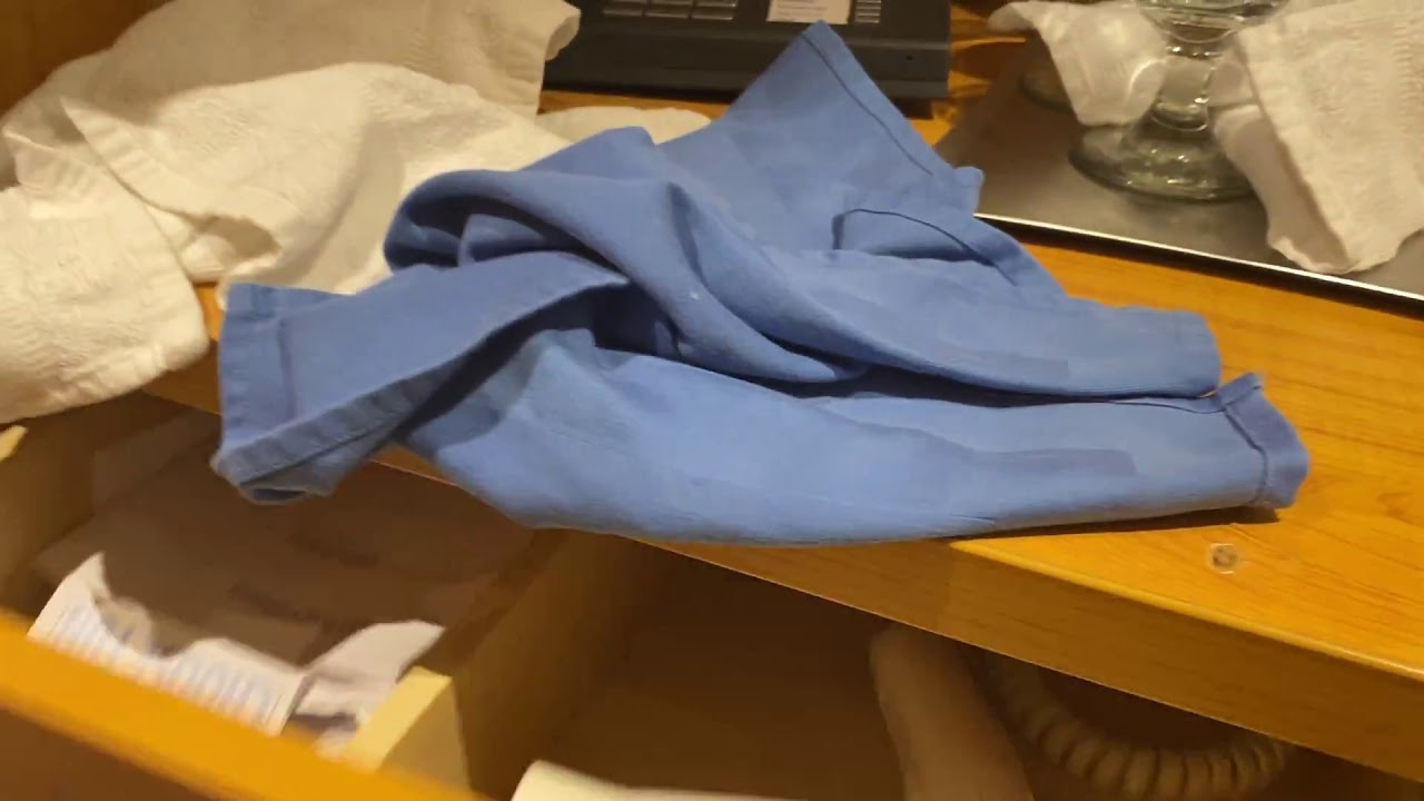 Carnival Sunrise - Cabin 2403 - Video 1