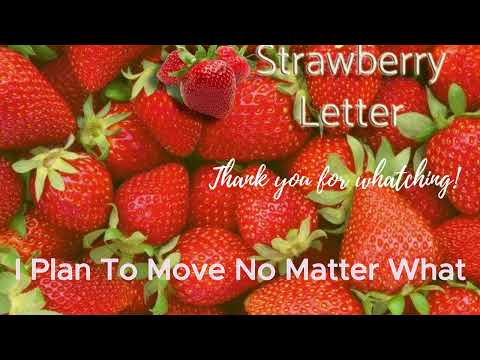 Strawberry Letter || I Plan To Move No Matter What