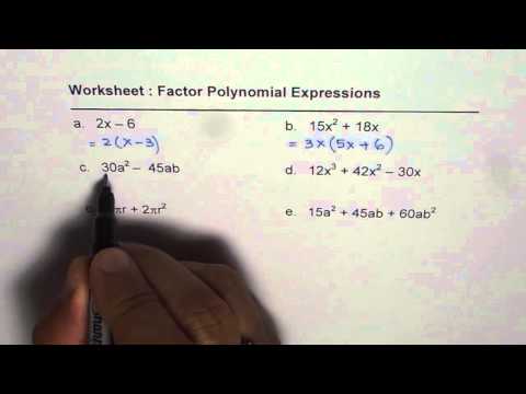 Daily Focus Polynomial Worksheet