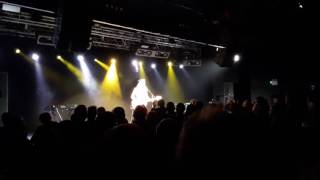 Julian Cope - As the beer flows over me live