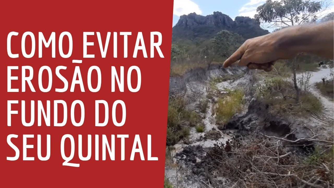 Duas práticas simples para proteger o solo da erosão.