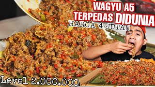 Download lagu MUKBANG 1 KG WAGYU A5 harga 4 juta , PAKE CABE CAROLINA REAPER DAN GHOST PEPPER   NASI !! mp3