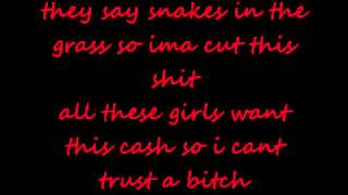 Waka Flocka Flame - Snakes in the grass (lyrics on screen)