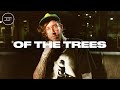 OF THE TREES (LIVE) @ DEF: UNDERGROUND