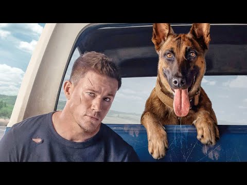 "ضابط جيش متقاعد بيتم تكليفه بمهمة توصيل كلبة لجنازة صاحبها" ملخص فيلم Dog2022