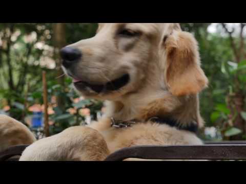 UMIDIGI Z PRO: 3D Capture